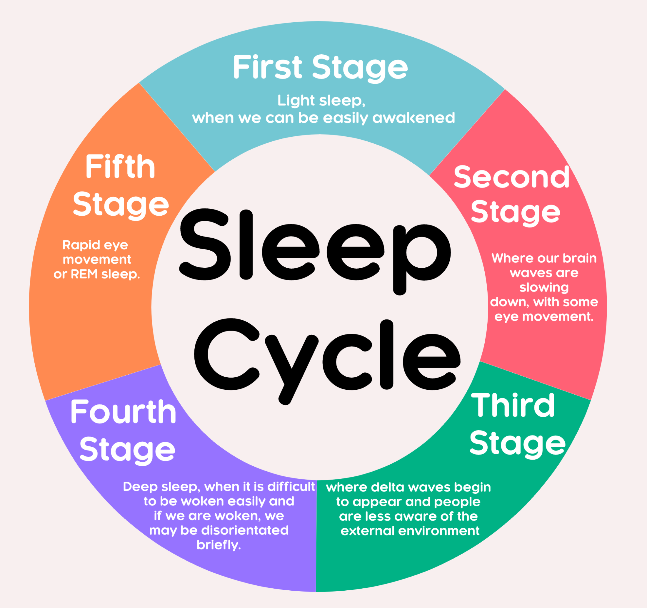 Wheel showing the 5 sleep stages.