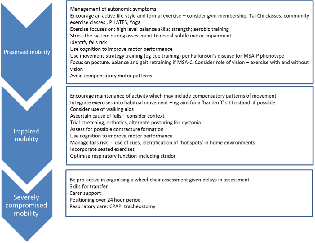 Figure 2: A framework for physiotherapy over the course of MSA